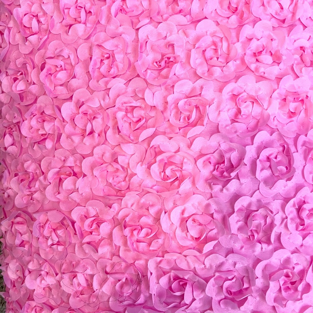 Lush Decor pink rosette curtains